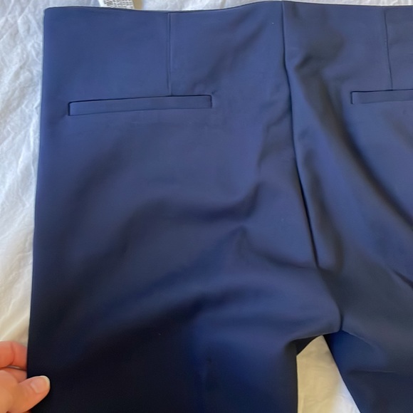 Zara Navy Cigarette Pants - Picture 11 of 11